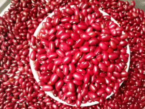 Export-quality Ethiopian Red Kidney beans for industrial canning.